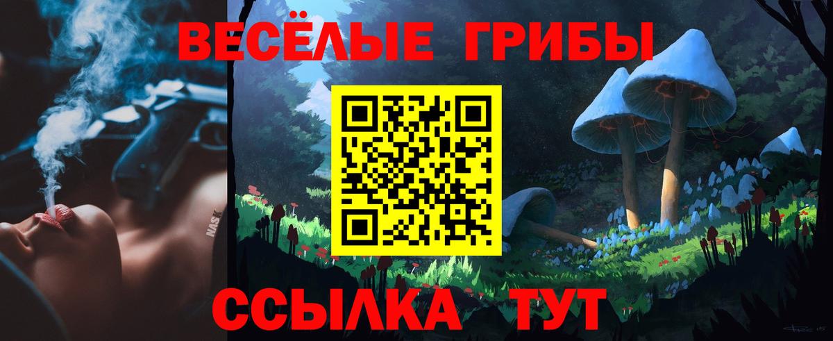 Галлюциногенные грибы Psilocybe Прохладный